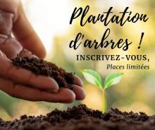 PROJET DE PLANTATION D’ARBRES