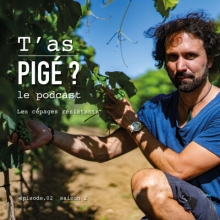 Podcast t'as pigé